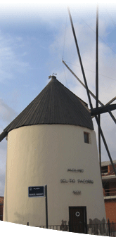 detalle de Torre Pacheco