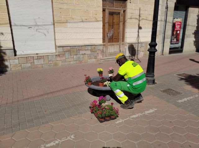 STV GESTIÓN repone este otoño más de 1.000 plantas de flor en calles y plazas del municipio de Torre Pacheco