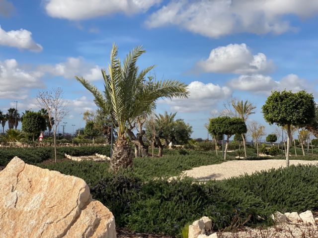 Torre Pacheco dedica un Jardín al “Doctor Pedro José Galindo Fernández”