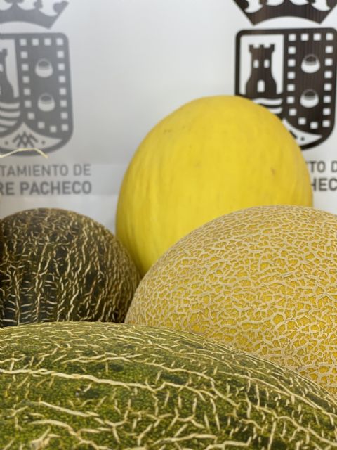 Fiestas del Melón en Torre Pacheco 2023