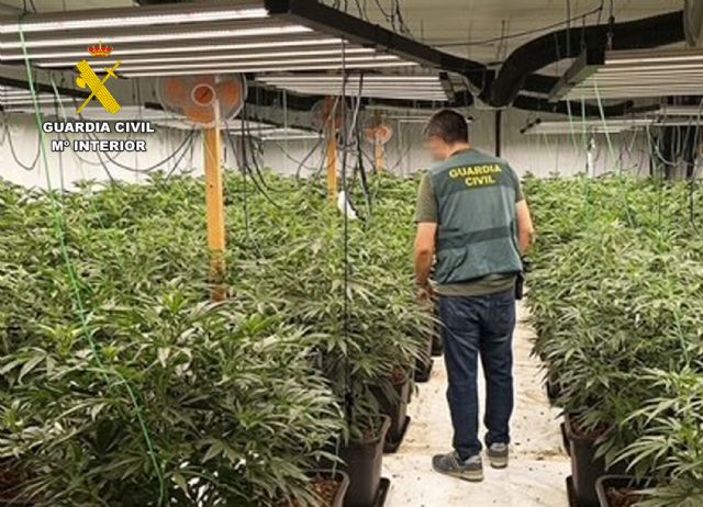 La Guardia Civil desmantela un invernadero clandestino con cerca de 800 plantas de cannabis en una nave industrial