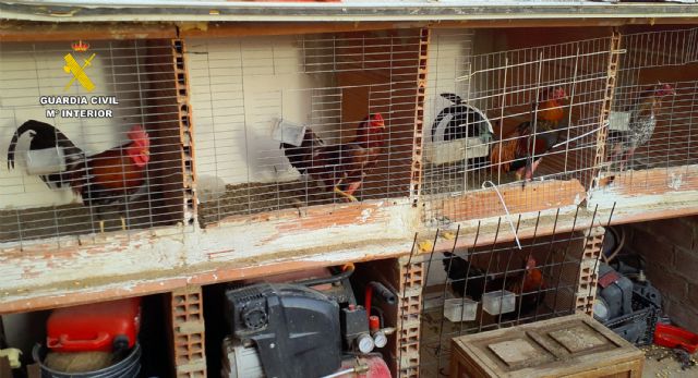 La Guardia Civil esclarece en Torre Pacheco un caso de maltrato animal