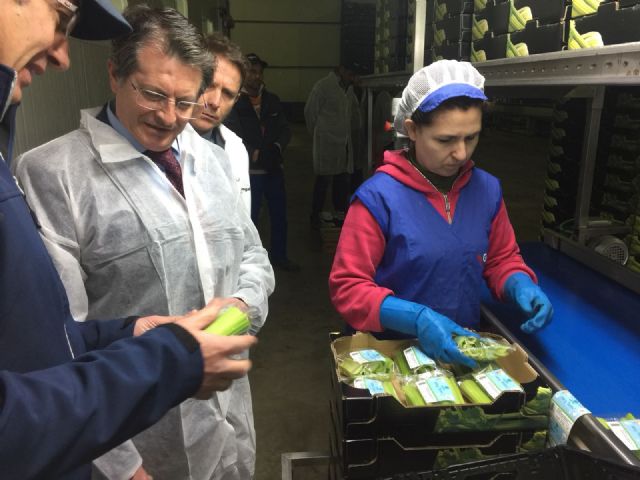 Visita a la cooperativa Gregal de Torre Pacheco