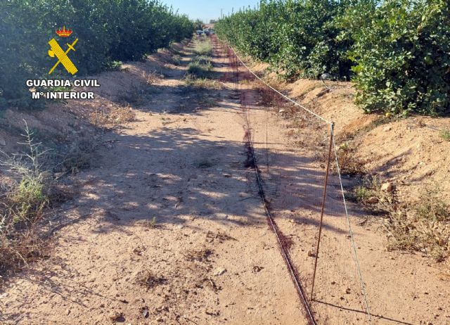 La Guardia Civil investiga a un cazador por la captura masiva e ilícita de liebres en Torre Pacheco