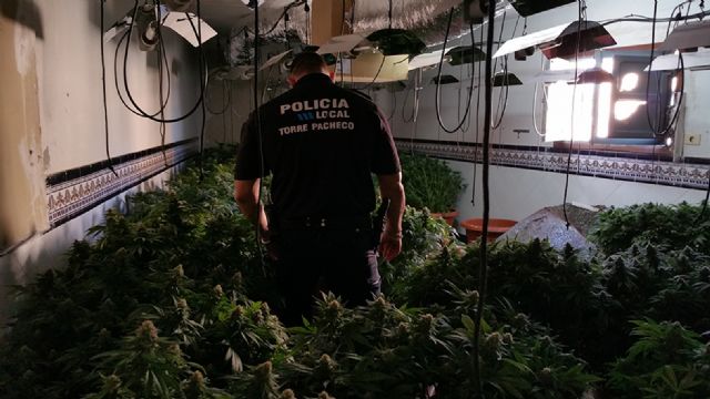 La Policía Local de Torre Pacheco desmantela un punto de cultivo y producción de marihuana