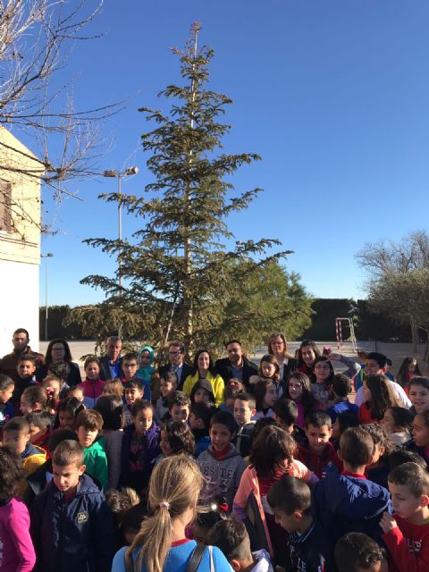El colegio Entretierras de Torre Pacheco recibe el árbol de Navidad de la Consejería de Educación tras ganar el concurso de adornos