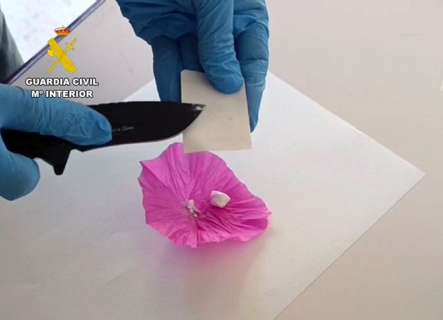 La Guardia Civil desmantela el punto más activo de venta de droga de Torre Pacheco La Guardia Civil desmantela el punto más activo de venta de droga de Torre Pacheco